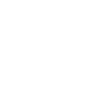 vienintelis vienintelis
